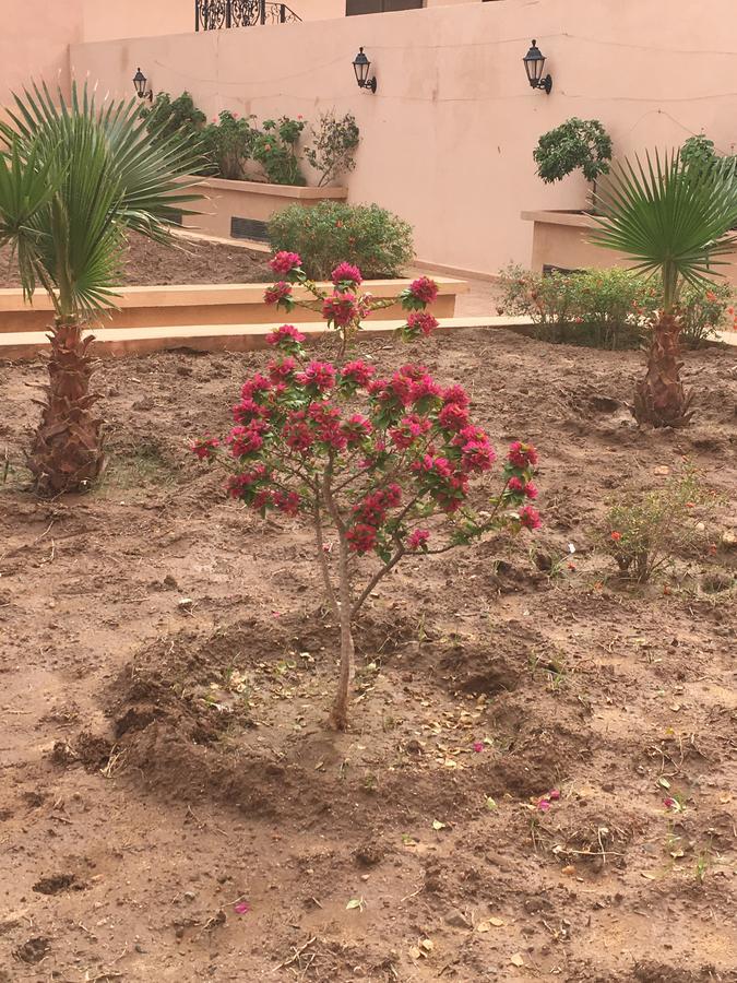 מרקש Appartement Elias Marrakech מראה חיצוני תמונה